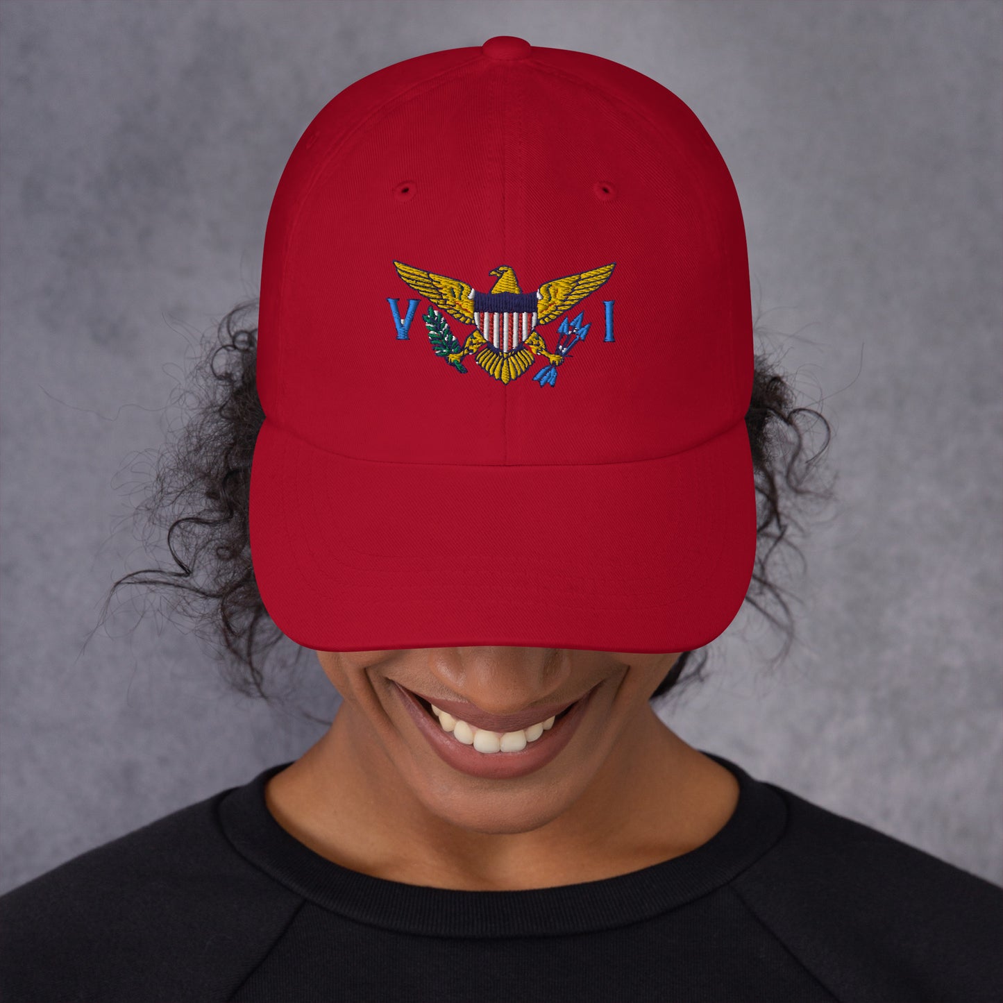 Virgin Island's Flag Dad hat