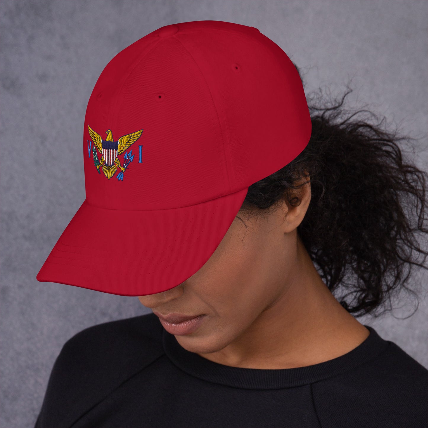 Virgin Island's Flag Dad hat