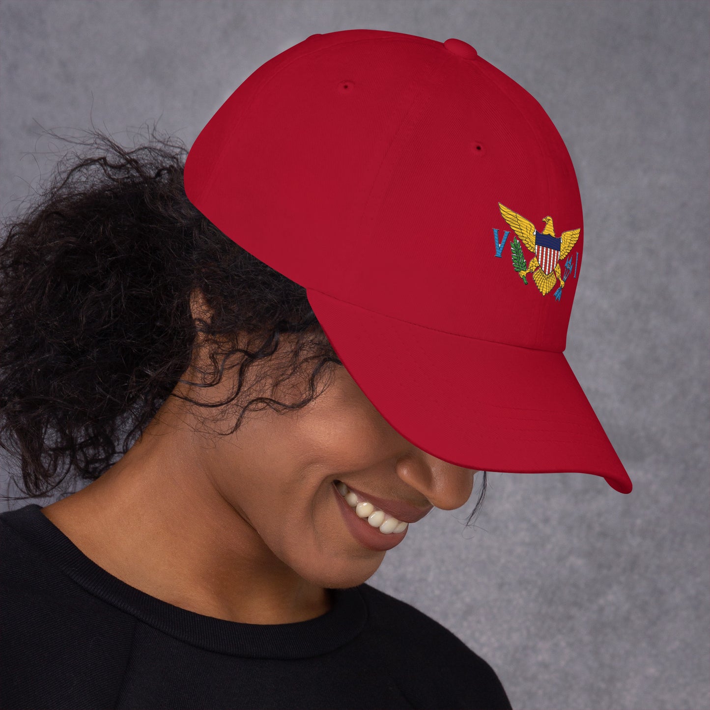 Virgin Island's Flag Dad hat