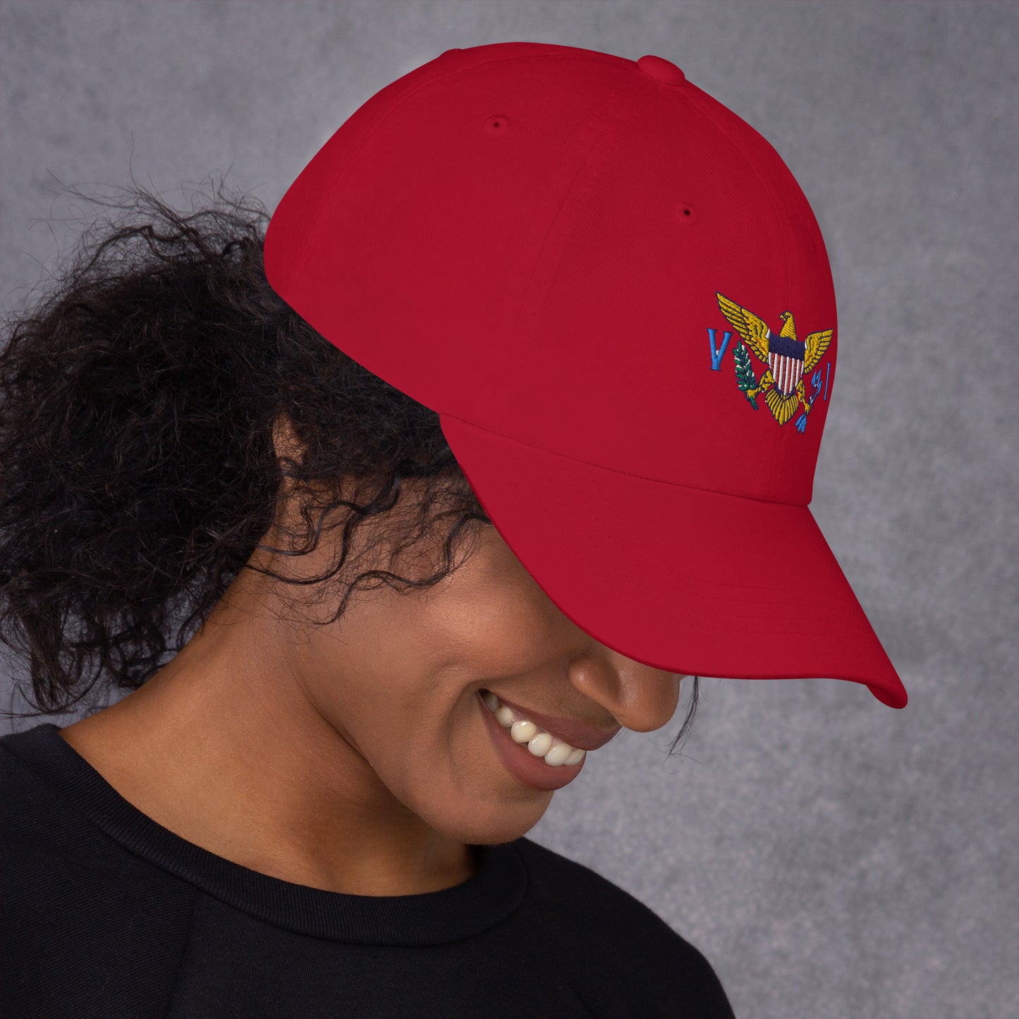 Virgin Island's Flag Dad hat