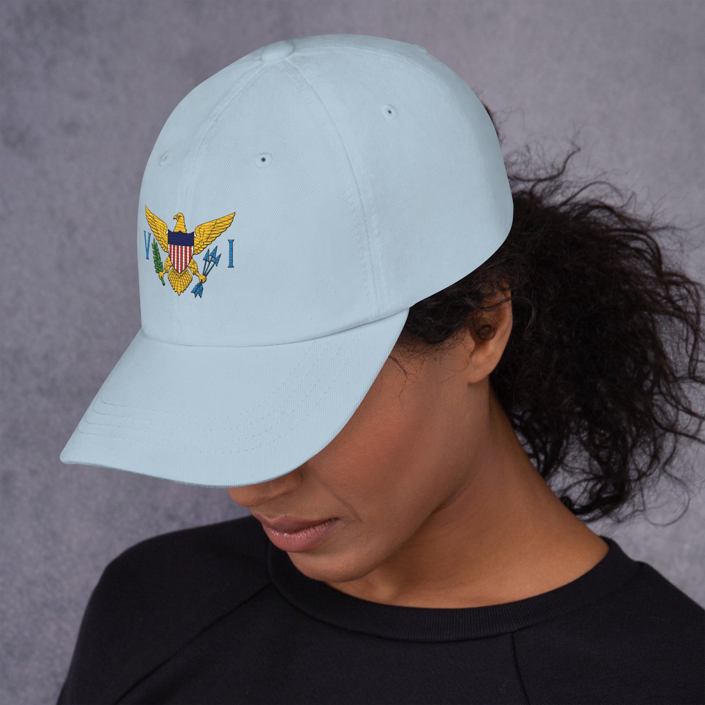 Virgin Island's Flag Dad hat