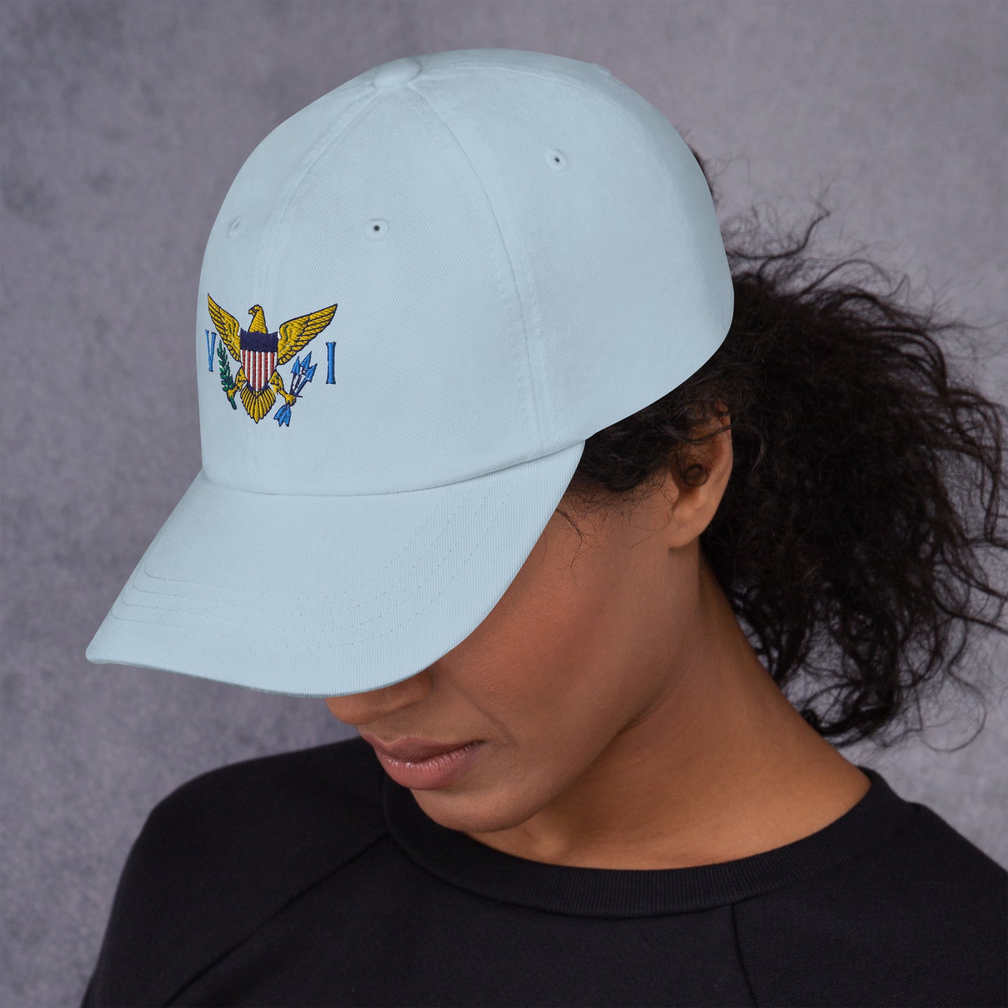 Virgin Island's Flag Dad hat