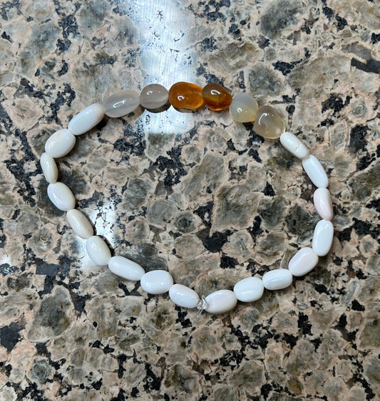 Shell and Carnelian
